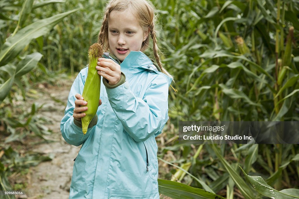 Girl in a corn field