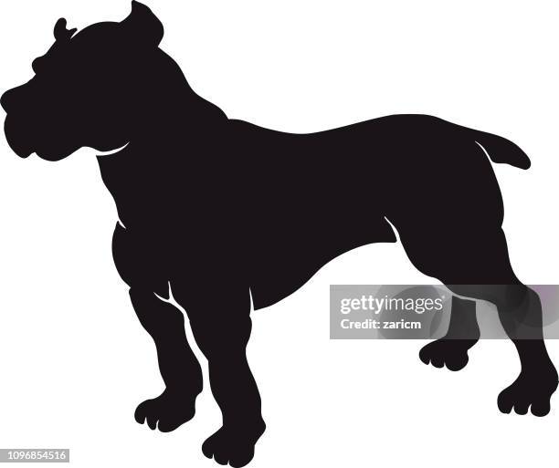 ilustraciones, imágenes clip art, dibujos animados e iconos de stock de perro pitbull. silueta - bulldog