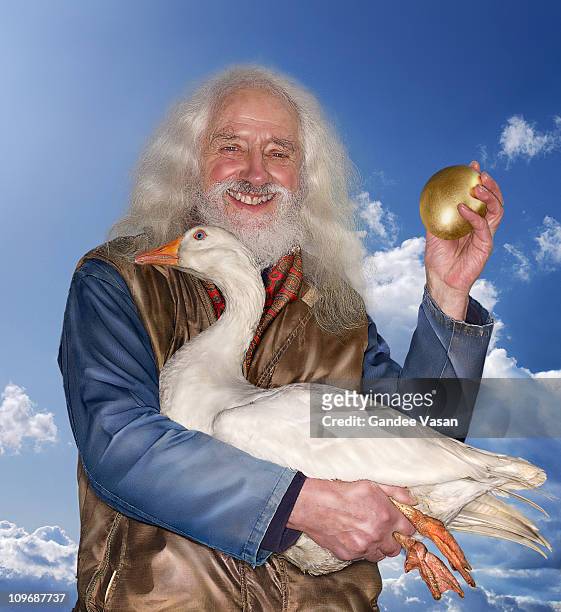 farmer holding goose - gandee stock pictures, royalty-free photos & images