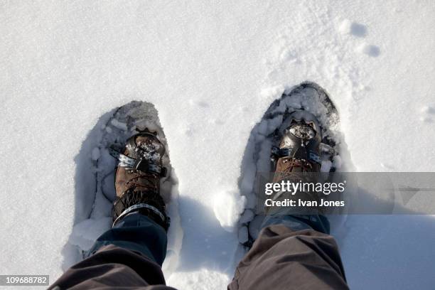 ski shoes in deep snow - boot print stock pictures, royalty-free photos & images