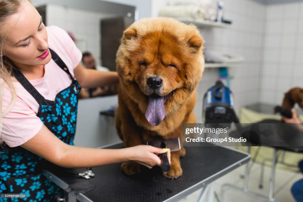 Grooming salon