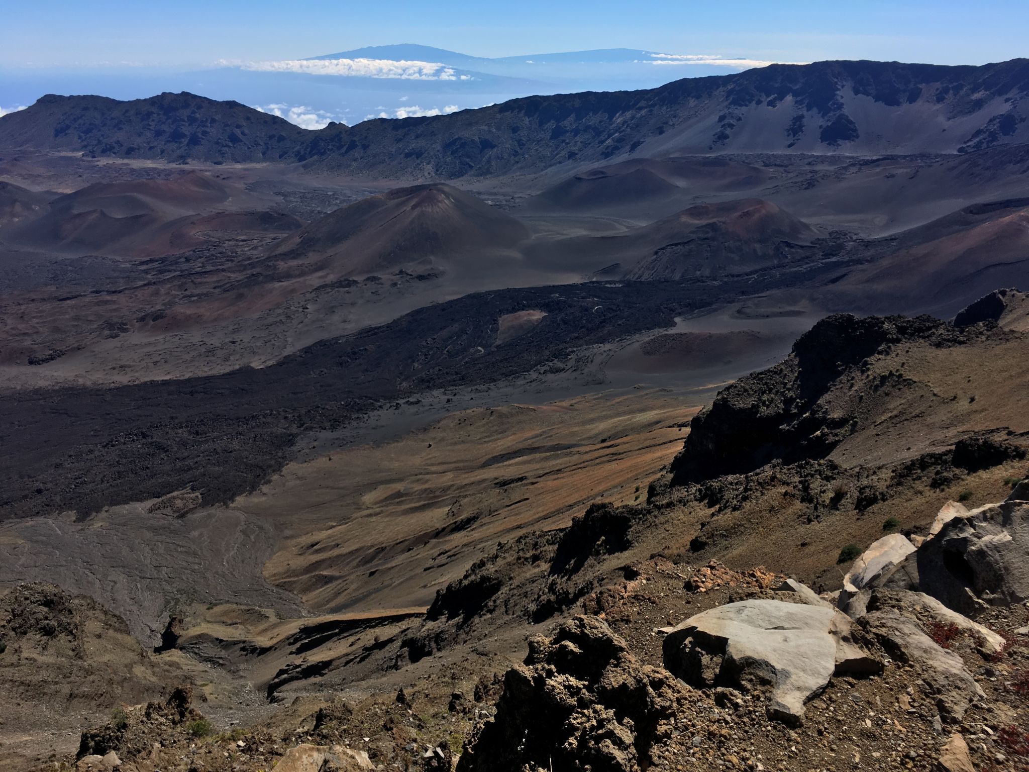 maui tour guide