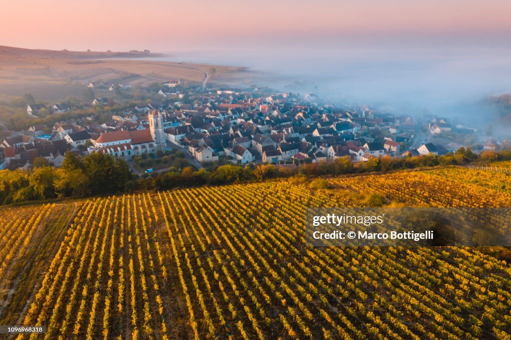 Irancy at sunrise, Burgundy, France.