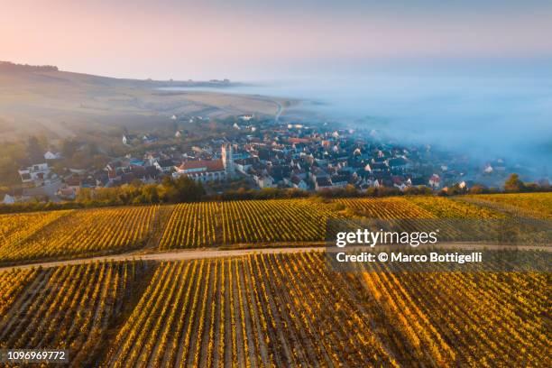 irancy at sunrise, burgundy, france. - irancy bildbanksfoton och bilder