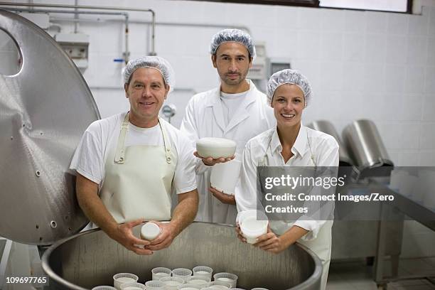 cheese dairy - haarnet stockfoto's en -beelden