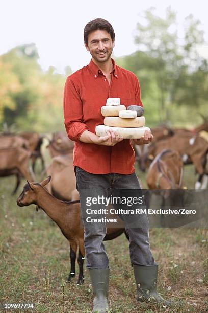 goat farm - goat's cheese stock pictures, royalty-free photos & images