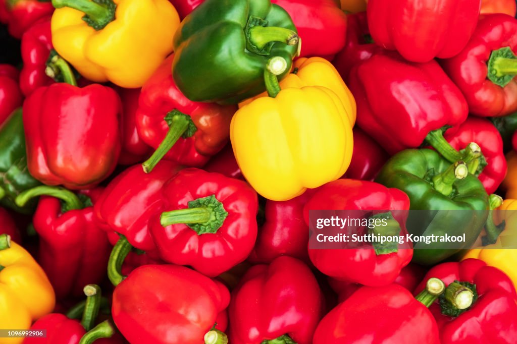 Sweet pepper. Colorful sweet bell peppers, natural background. fresh capsicum. Cooking vegetable salad. Colorful green , red and yellow peppers paprika