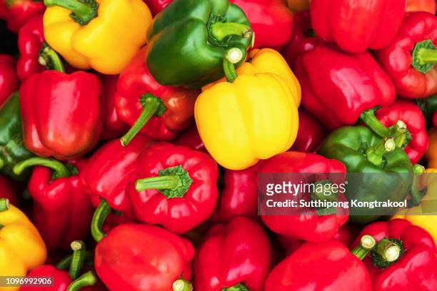sweet pepper. colorful sweet bell peppers, natural background. fresh capsicum. cooking vegetable salad. colorful green , red and yellow peppers paprika - orange bell pepper stockfoto's en -beelden