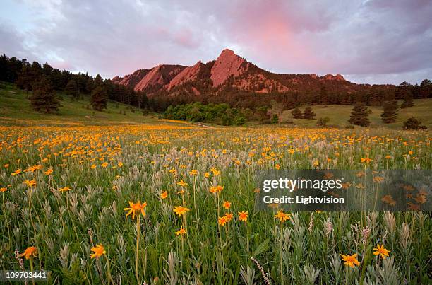 chautauqua park, boulder, colorado - boulder colorado stock pictures, royalty-free photos & images