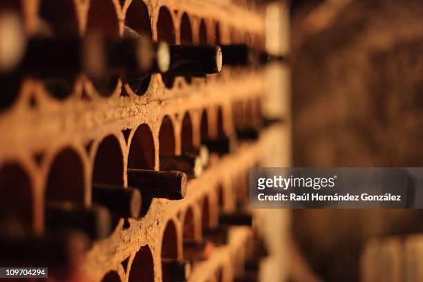 bottle rack - wine cellar stock pictures, royalty-free photos & images