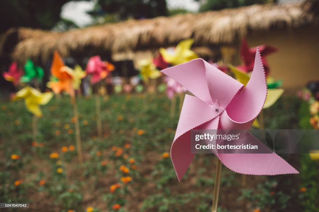 Nahaufnahme des rosa Windradspielzeugs auf dem Feld