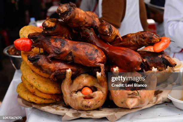 Beautiful view of Commercial Curry Guinea Pig Feed