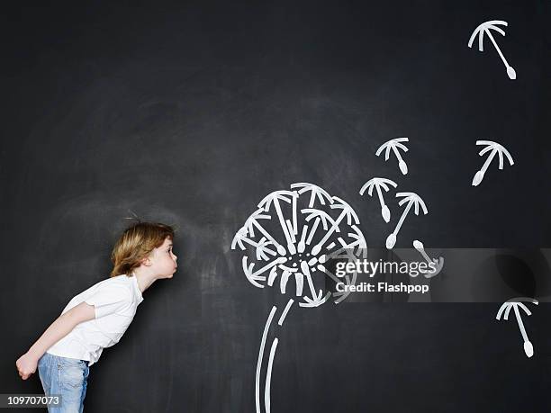 boy blowing dandelion clock - child dandelion stockfoto's en -beelden