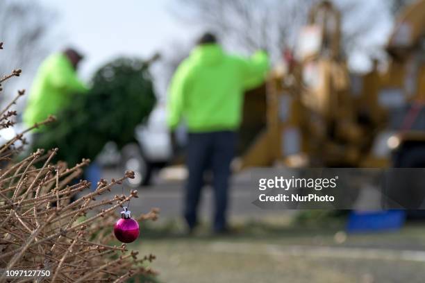 Close up of an ornament on a branch as while the background municipal workers grind Christmas trees from the past holiday season in a wood-chipper at...