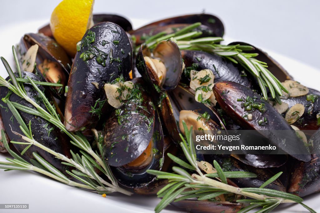 Fresh cooked mussels