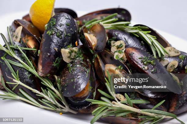fresh cooked mussels - zealand fotografías e imágenes de stock