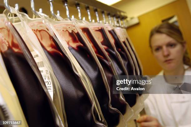 Blood Donation - Blood Bags used for the storage of blood after a patient gives blood. 05. 04. 2004.