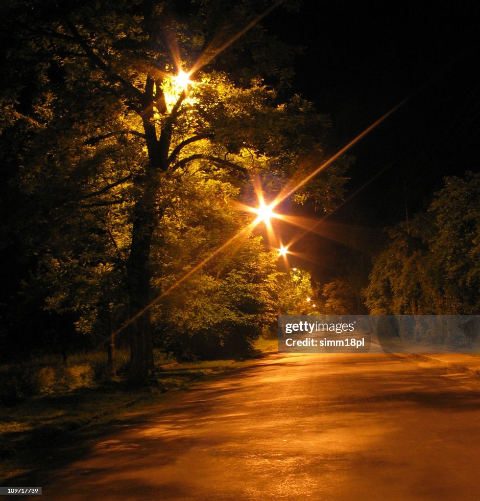 Avenue à noite