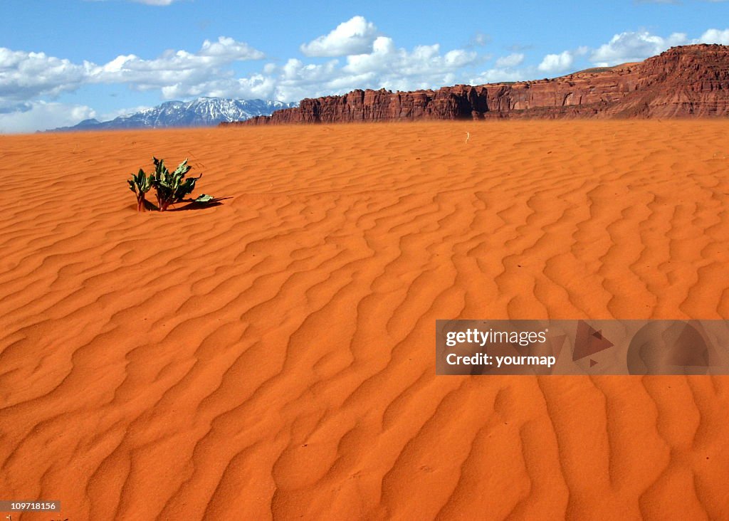 Dunas de arena de Utah