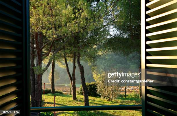 gli scuri apertura per giardino-camera da letto - giardino ornamentale foto e immagini stock