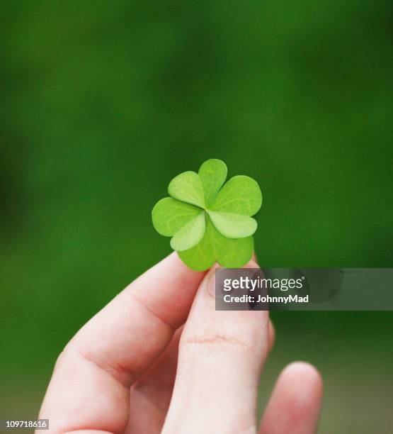 four leaf clover held in a left hand - four leaf clover stock pictures, royalty-free photos & images