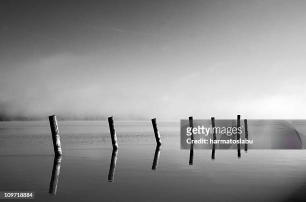 row of pipes sticking out of water - black and white landscape stock pictures, royalty-free photos & images
