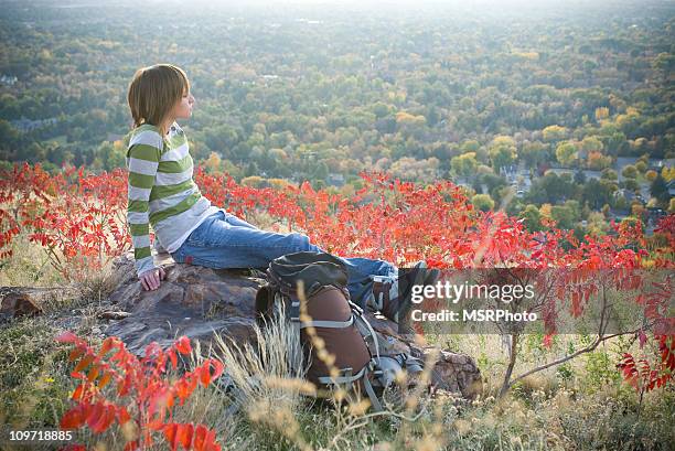 taking in the view - mount-olympus-olympic-national-park stock pictures, royalty-free photos & images