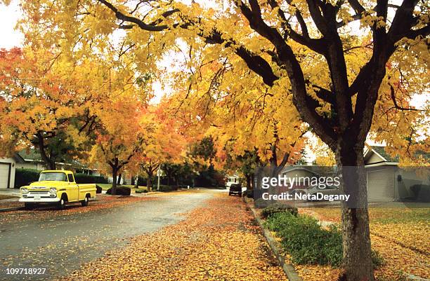 residential neighbourhood - cupertino stock pictures, royalty-free photos & images