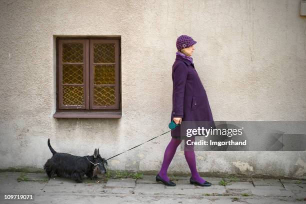 purple, pregnant, pet - purple hat stock pictures, royalty-free photos & images