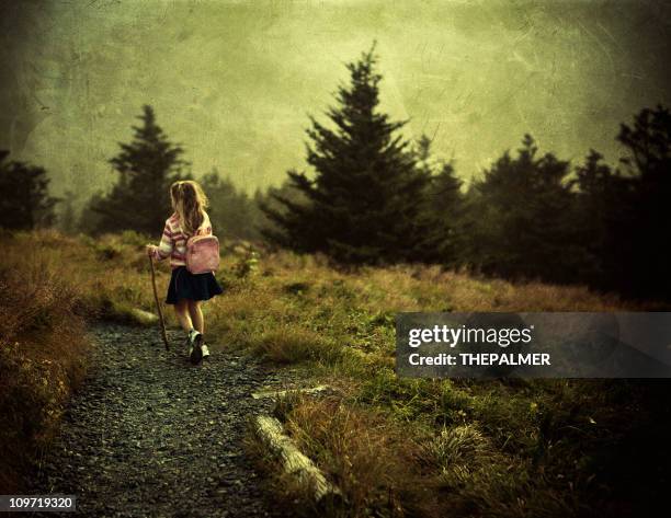 small girl at roan mountain state park - tennessee hills stock pictures, royalty-free photos & images