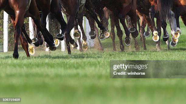 horse running - racehorse stockfoto's en -beelden