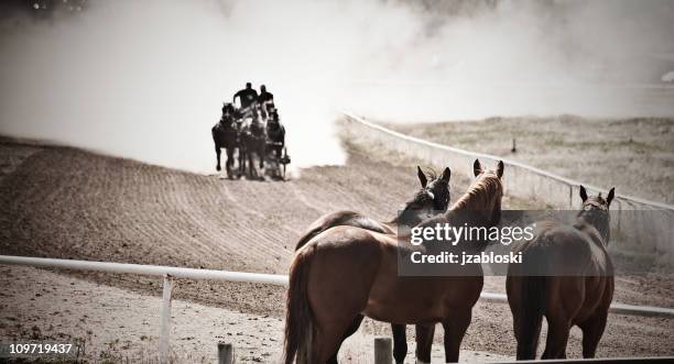 chuckwagon race. - rodeo stock pictures, royalty-free photos & images