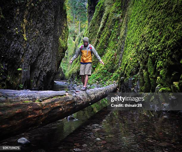 canyon explorer - oneonta gorge bildbanksfoton och bilder