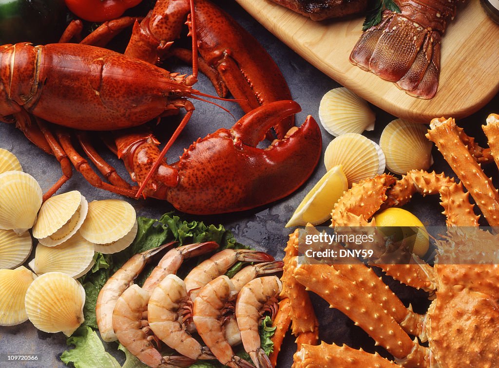 Assorted collection of shellfish