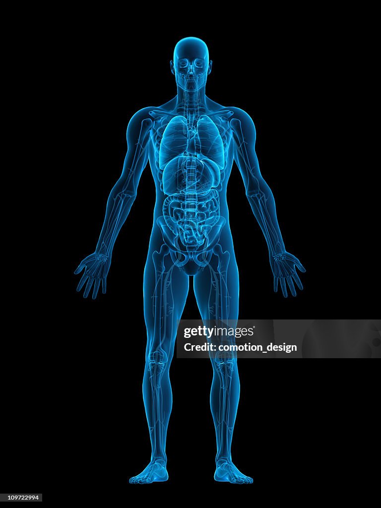 Menschlichen Körper X-ray