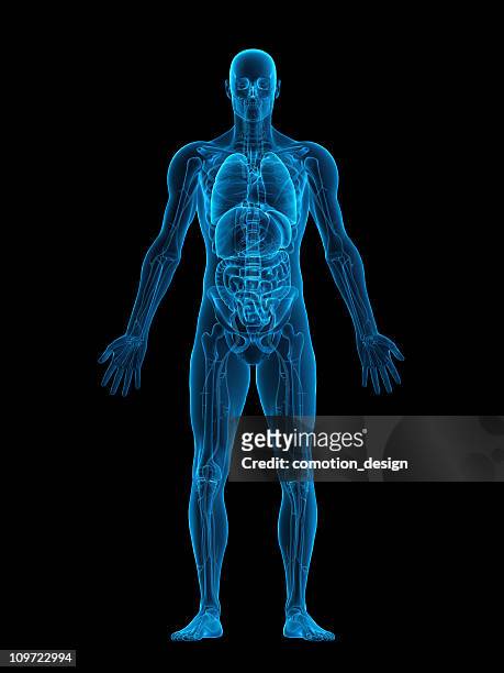 human body x-ray - 3d person stockfoto's en -beelden