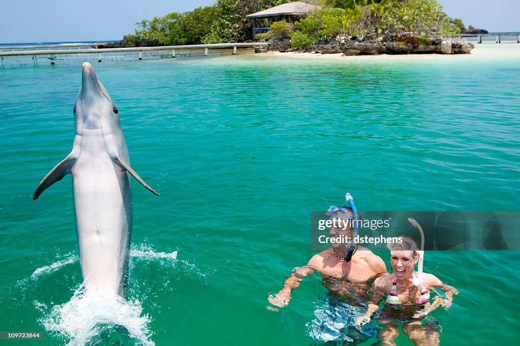 Couple snorkeling by an island enjoying dolphin encounter 