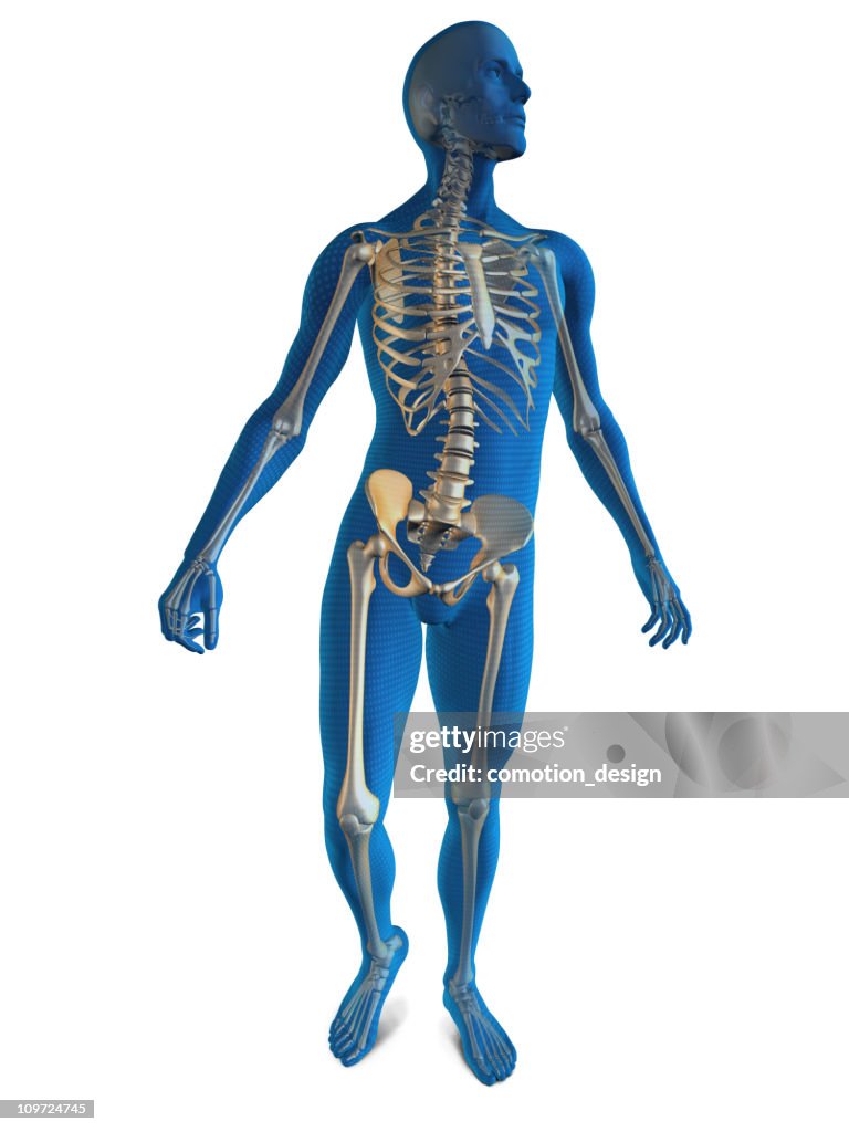 Blue hombre
