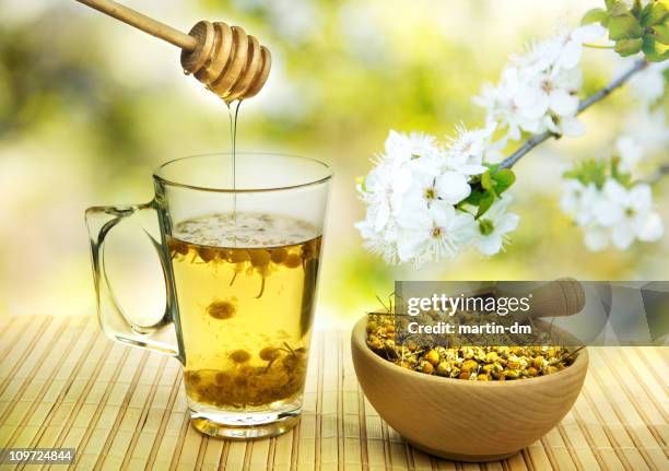 camomile tea - chamomile tea 個照片及圖片檔