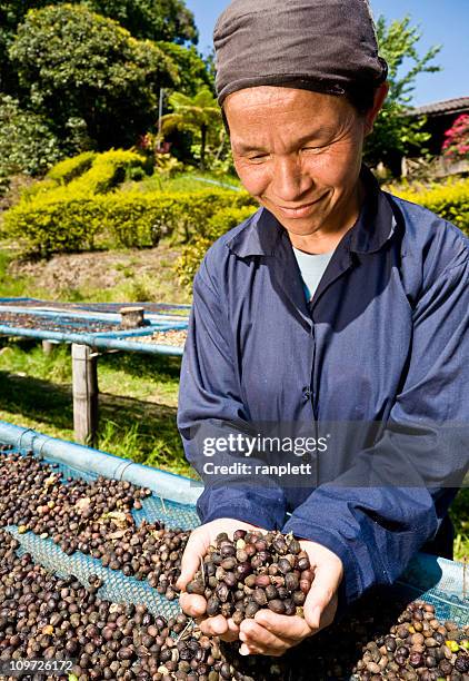 fair-trade-kaffee farmer - fair trade stock-fotos und bilder