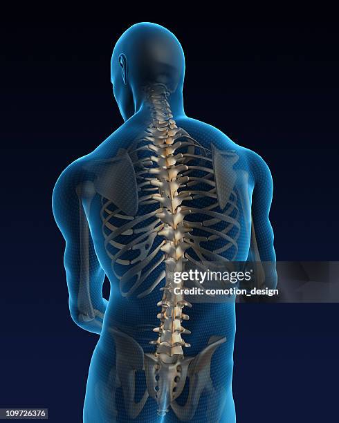 espalda humana - 3d spine fotografías e imágenes de stock