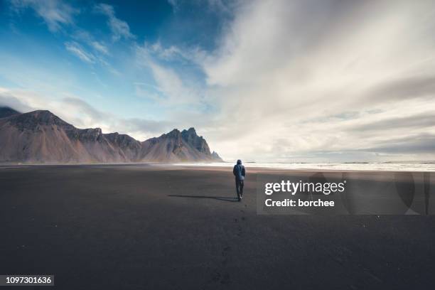 into the wild - dark sky stock pictures, royalty-free photos & images