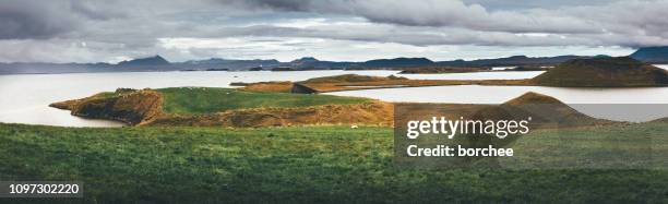 myvatn lake with craters - iceland nature stock pictures, royalty-free photos & images
