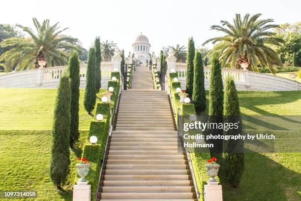 the beautiful terraced bahai gardens in haifa, israel - cypress tree stockfoto's en -beelden