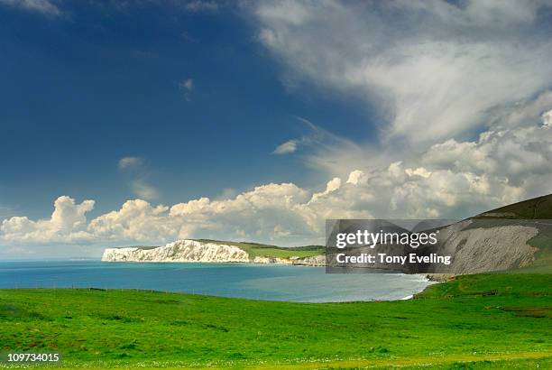 view across compton bay, isle of wight, uk - compton bay isle of wight stockfoto's en -beelden