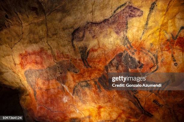 tito bustillo cave in asturias - cave fotografías e imágenes de stock