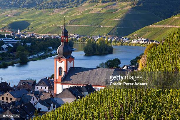 vineyards & zell mosel village, germany - moezel stockfoto's en -beelden