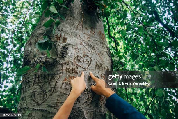 a couple points at a tree with lovers initials on it - fries stockfoto's en -beelden