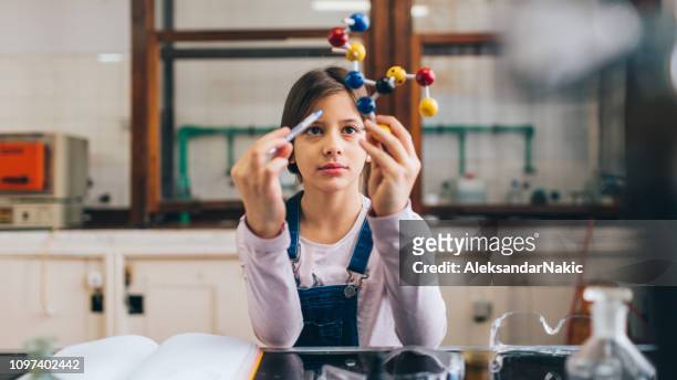 化学の授業で - 女性科学者 ストックフォトと画像