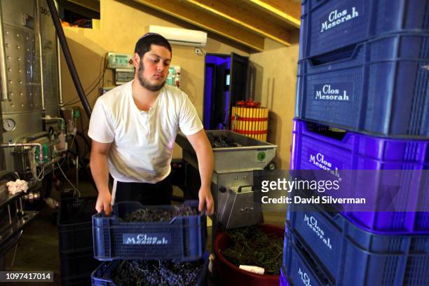 Religious Jew processes the harvest at the Clos Mesorah kosher winery on October 3, 2018 near the town of Marca in Spain's Tarragona province. Clos...
